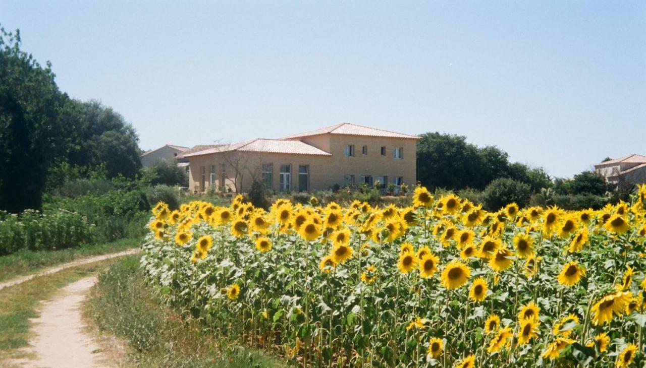 Villa La Charmeuse Fleurie Collias Exteriör bild